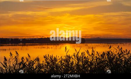Golden sunset over river Stock Photo