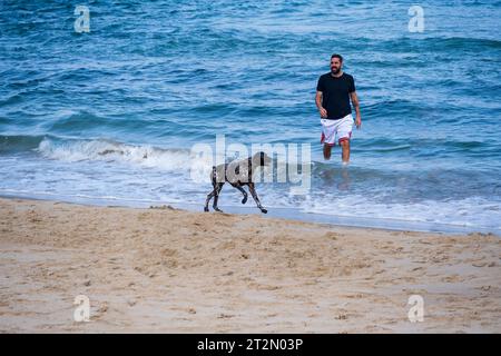 A young man with his German shorthaired pointer dog running along the beach at Tel Aviv, Israel on a sunny day. Stock Photo