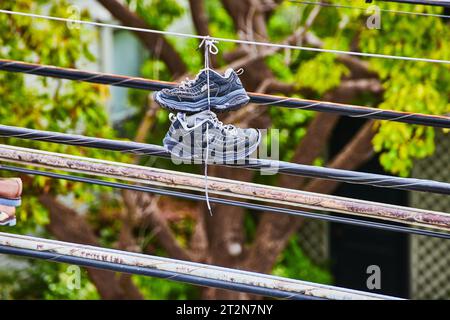 Black and blue tennis shoes with laces tied together hanging from a telephone wire and tree in back Stock Photo