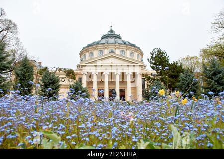 The Romanian Athenaeum in Bucharest in the spring Stock Photo