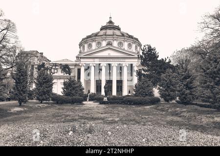 The Romanian Athenaeum in Bucharest in the spring 1 Stock Photo