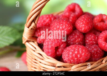 Tasty ripe raspberries and green leaves in wicker basket, closeup Stock Photo