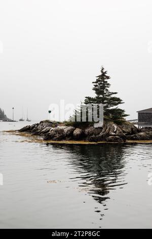 Christmas Cove   South Bristol, Maine, USA Stock Photo