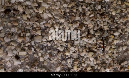 Pebble stone texture. Suitable for background Stock Photo