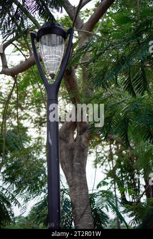 garden lamp on a black pole, background of leaves visible from below with a view to the sky. Stock Photo