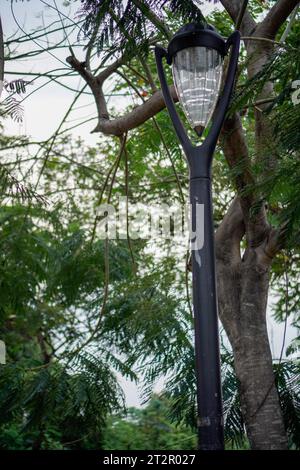 garden lamp on a black pole, background of leaves visible from below with a view to the sky. Stock Photo