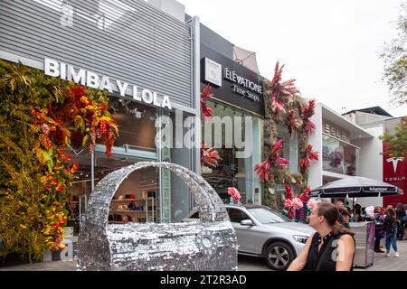 Avenida Presidente Masaryk during  Festival de Flores (Day of the Dead)  in Polanco Neighbourhood in Mexico City, Mexico Stock Photo