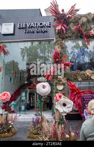 Avenida Presidente Masaryk during  Festival de Flores (Day of the Dead)  in Polanco Neighbourhood in Mexico City, Mexico Stock Photo