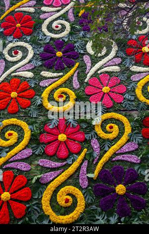 Wall of Flowers on Avenida Presidente Masaryk during  Festival de Flores (Day of the Dead)  in Polanco Neighbourhood in Mexico City, Mexico Stock Photo