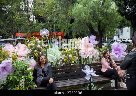 Avenida Presidente Masaryk during  Festival de Flores (Day of the Dead)  in Polanco Neighbourhood in Mexico City, Mexico Stock Photo