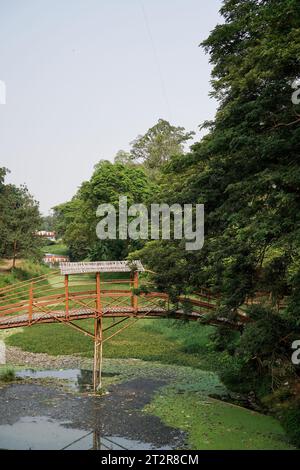 bridge for crossing made of bamboo, seen from the side with a wide angle, Stock Photo