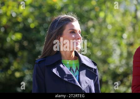 Arroes, Spain, 21st October 2023: Queen Letizia Ortiz smiling during the Exemplary People of Asturias Award 2023, on October 21, 2023, in Arroes, Spain. Credit: Alberto Brevers / Alamy Live News. Stock Photo