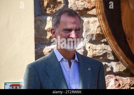 Candanal, Spain, 21st October 2023: King Felipe VI during the Exemplary People of Asturias Award 2023, on October 21, 2023, in Candanal, Spain. Credit: Alberto Brevers / Alamy Live News. Stock Photo