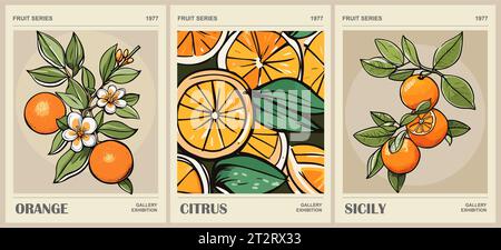 Set of abstract Orange Fruit Market retro posters. Stock Vector