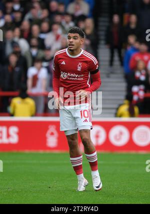 nottingham forest football ground