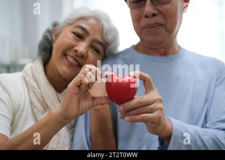Happy Asian senior couple in love. Senior couple with heart in front of lovely Background. Stock Photo