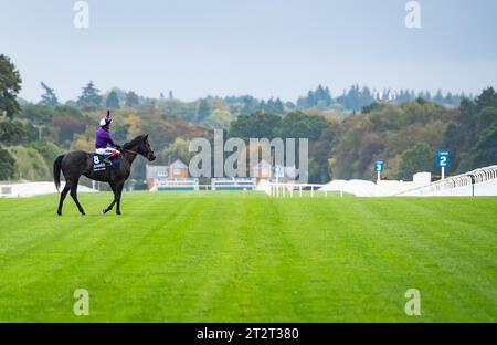 Ascot, Berkshire, United Kingdom. Saturday 21st October 2023. King Of Steel and Frankie Dettori win the QIPCO British Champion Stakes for trainer Roger Varian and owners AMO Racing Limited. Credit JTW Equine Images / Alamy Live News Stock Photo
