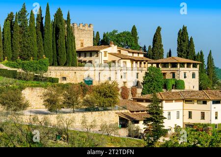 Castello di Verrazano Vineyard, Chianti Classico,Chianti Region,  central Tuscany,Italy,Europe Stock Photo