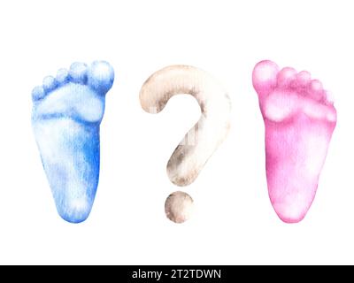 Baby footprints blue and pink feet with question mark. Watercolor illustration hand draw isolated on white background. Gender reveal party boy or girl Stock Photo