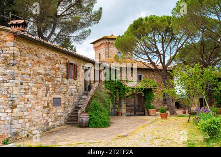 Castello di Rampello Winetatsing Vinyards  Panzano, Chianti Region,  central Tuscany,Italy,Europe Stock Photo