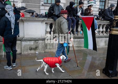 Pro-Palestinian protesters march through central London for the second consecutive week after the attacks by Hamas on Israel, on 21st October 2023, in London, England. Met Police have estimated that 100,000 took part in the protest through the capital, the second such mass event in a week. Stock Photo