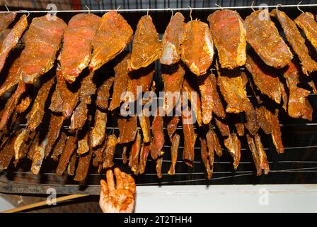 Large cuts of meat covered in spices hang from a set of hooks to dry and be turned into biltong at a game farm in South Africa Stock Photo