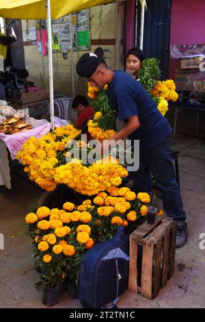 Day of the Dead in San Gregorio Atlapulco, Xochimilco, Mexico City Stock Photo