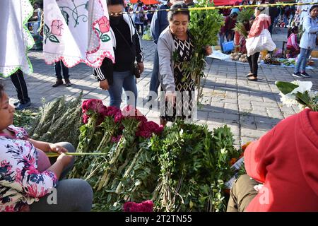 Day of the Dead in Huaquechula, Puebla Stock Photo
