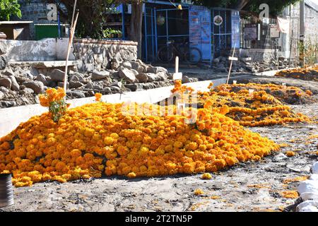Day of the Dead graves in Huaquechula, Puebla Stock Photo