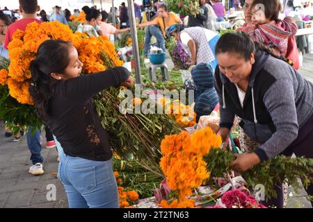 A woman buying flowers during Day of the Dead in Huaquechula, Puebla Stock Photo
