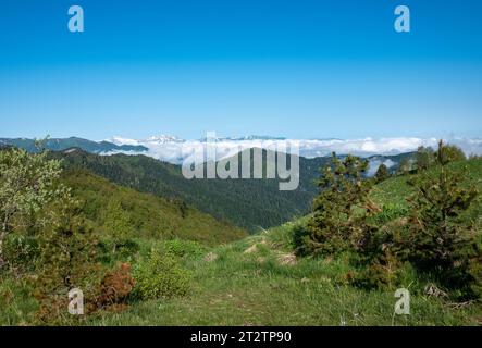 Mountain landscape. Green alpine meadow and a view of the Fisht, Oshten mountains and the Lago-Naki plateau Stock Photo