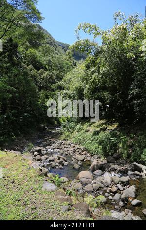 The site of the 3 Cascades of Te Fa’aurumai on the east coast of the island of Tahiti. The three waterfalls in the Faarumai Valley come from three dif Stock Photo