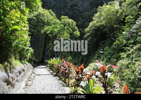 The site of the 3 Cascades of Te Fa’aurumai on the east coast of the island of Tahiti. The three waterfalls in the Faarumai Valley come from three dif Stock Photo