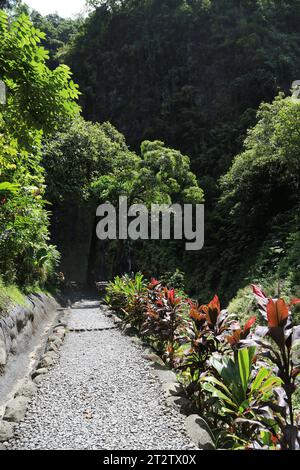 The site of the 3 Cascades of Te Fa’aurumai on the east coast of the island of Tahiti. The three waterfalls in the Faarumai Valley come from three dif Stock Photo