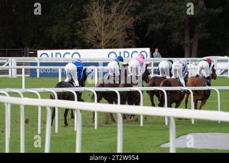 Ascot, Berkshire, UK. 21st October, 2023. Riders in the first mile of the QIPCO British Champions Long Distance Cup at Ascot Racecourse at the QIPCO British Champions Day at Ascot Racecourse. Jockey Frankie Dettori won the race on horse Trawlerman. Trainer John & Thady Gosden Newmarket. Owner Godolphin. Today will be Frankie Dettori’s last racing in the UK before he heads to the USA to continue his career there. Credit: Maureen McLean/Alamy Live News Stock Photo