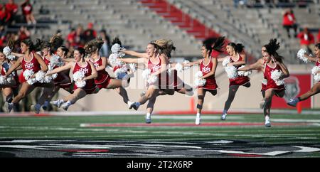 October 21, 2023 - New Mexico Lobos cheerleaders perform during a game between the New Mexico Lobos and the Hawaii Rainbow Warriors at University Stadium in Albuquerque, NM - Michael Sullivan/CSM Stock Photo