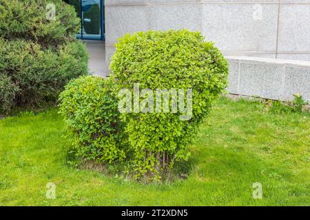 Theme for landscape design Stock Photo