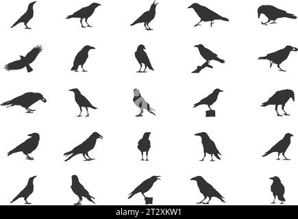 Carrion Crow Silhouettes, Carrion Crow Flying Silhouette, Crow Silhouettes, Carrion Crow Svg, Carrion Crow Vector Set Stock Vector