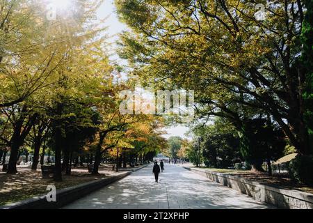 Sun shining through the autumn trees in Peace Memorial Park, Hiroshima, Japan Stock Photo