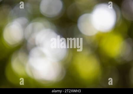 Texture background for overlay or texture design - abstract background with bokeh, defocused spots and shadows, vintage or retro color tone Stock Photo