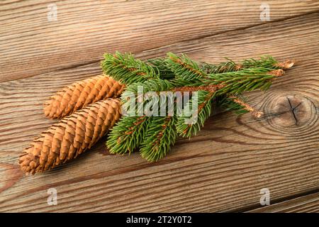 Spruce branch with cone isolated on wood background Stock Photo