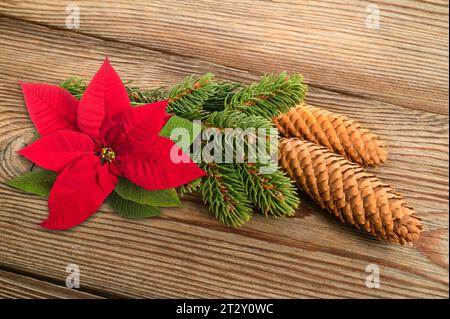 Spruce branch with cone and poisettia flower on wood background Stock Photo