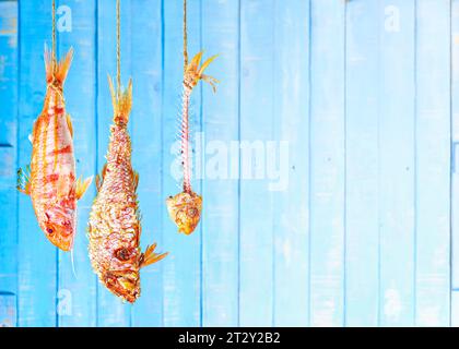 The three cooking stages of a red mullet: raw, fried with its own scales, and already eaten. Stock Photo