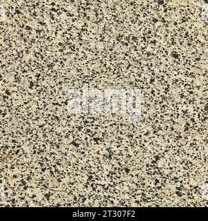 Grey, spotted granite, texture, backdrop. A variegated, spotted background of gray granite wall interspersed with black. The yellowed stone surface Stock Photo