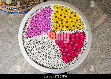 Offering many beauty flower flora blossom floating in ceramic basin or glazed water jar sacrifice to buddha and holy deity angel of War Kuiburi temple Stock Photo