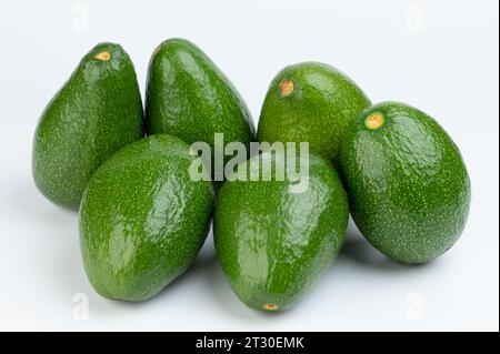 Many green avocados in pile isolated on white studio background Stock Photo