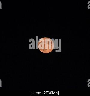 Almost full moon on black sky with copy space. Stock Photo