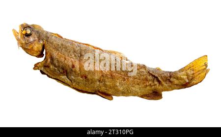 fried georgian river trout isolated on white background Stock Photo