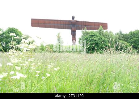 Angel of the north statue in Newcastle, UK, England Stock Photo