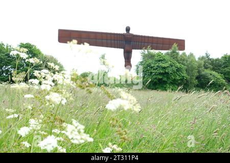 Angel of the north statue in Newcastle, UK, England Stock Photo